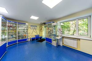 комерційна за адресою Салютна вул., 17