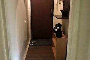 квартира по адресу Руслана Плоходько ул., 15а