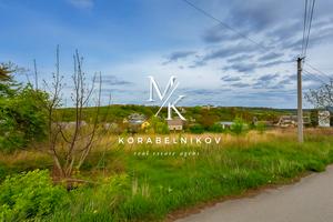 участок по адресу с. Лесники, Панская ул., 55