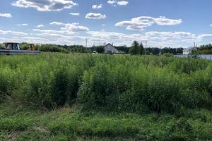 участок по адресу Вишнева