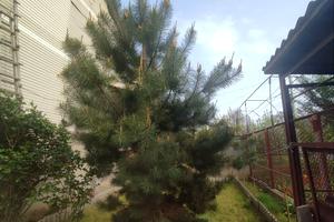 будинок за адресою Розовая, 36