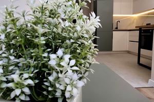 квартира за адресою Смакули вул., 7