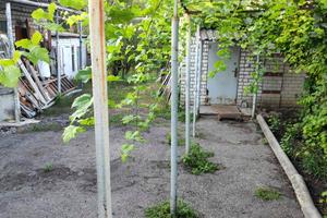 дом по адресу провулок Річковий