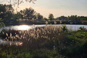 будинок за адресою Дніпро, Бережна вул., 219
