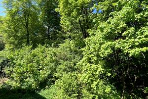 квартира за адресою Івана Франка вул., 124
