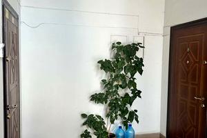 квартира по адресу Сечевых Стрельцов ул., 42а