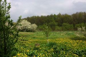 будинок за адресою с. Кищинці, Сонячна, 9