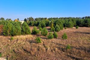ділянка за адресою Берегова