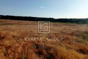 участок по адресу с. Гавриловка, Березова