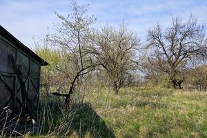 участок по адресу Ізумруд садове товариство, 407
