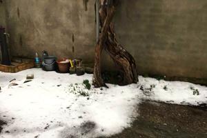 дом по адресу Слободская ул.