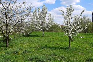 будинок за адресою Романа Сушка вул., 5