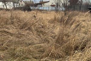 участок по адресу Грушевського