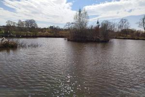 комерційна за адресою Франка, 1