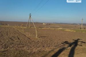 ділянка за адресою Академіка Заболотного вул.