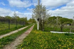 будинок за адресою Лезнево