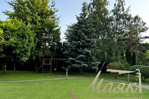 дом по адресу Центральна ул.