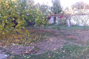 будинок за адресою Георгія Липського вул. (Толбухіна)