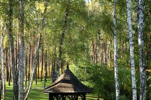 ділянка за адресою Кругла