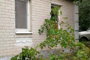 будинок за адресою Василівська вул.