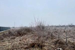 ділянка за адресою урочище Вільхи