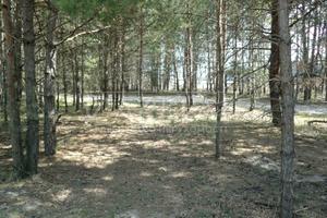 участок по адресу с. Плюты, 