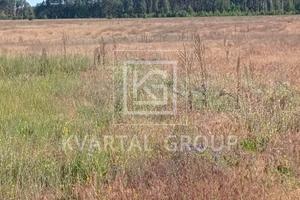 участок по адресу с. Гавриловка, Березова