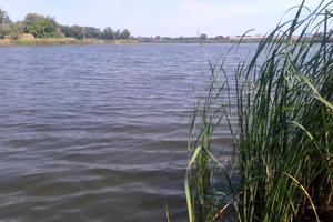 будинок за адресою Вільне