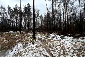 ділянка за адресою Котляревського, 53
