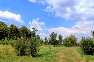 ділянка за адресою 
