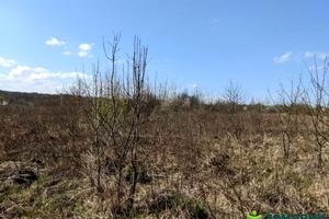 ділянка за адресою урочище За глибоким