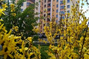 квартира за адресою Городоцька вул., 245а
