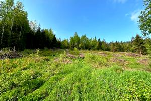 ділянка за адресою Під Митою вул.