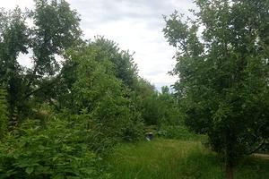 дом по адресу Тарнивецкая ул.