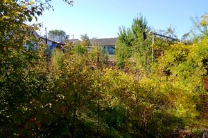участок по адресу с. Егоровка, масив 'Надлиманський'