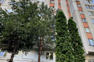 квартира по адресу Мандрыковская ул., 336