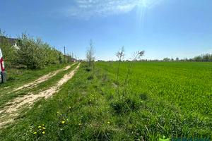 участок по адресу Петлюри