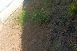 будинок за адресою Наливайка Северина вул.