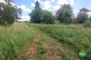 будинок за адресою с. Липівка, Довженка