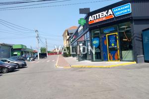 ділянка за адресою Центральна вул., 126