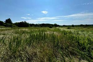 ділянка за адресою Віталія Васільцева, 1