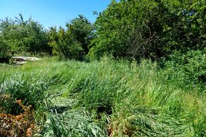 участок по адресу КОЗАЦЬКОЇ СЛАВИ