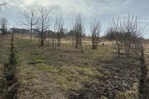 ділянка за адресою Довбуша вул.