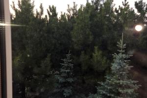 будинок за адресою с-ще. Дослідне, Провулок Дослідний
