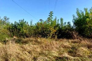 участок по адресу с. Белогородка, Білогородська сільська рада