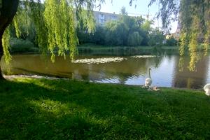квартира за адресою Миру просп., 24