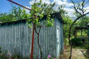 будинок за адресою двадцять п'ята вулиця, 234