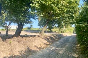 участок по адресу с. Великая омеляна, Чеська