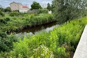 ділянка за адресою Бориспіль, Черешнева, 18-А