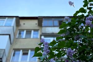 квартира за адресою Сухомлинського вул., 6/2